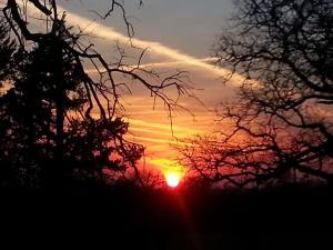 Erin Martaindale Shenkir Sunset from my front porch.
