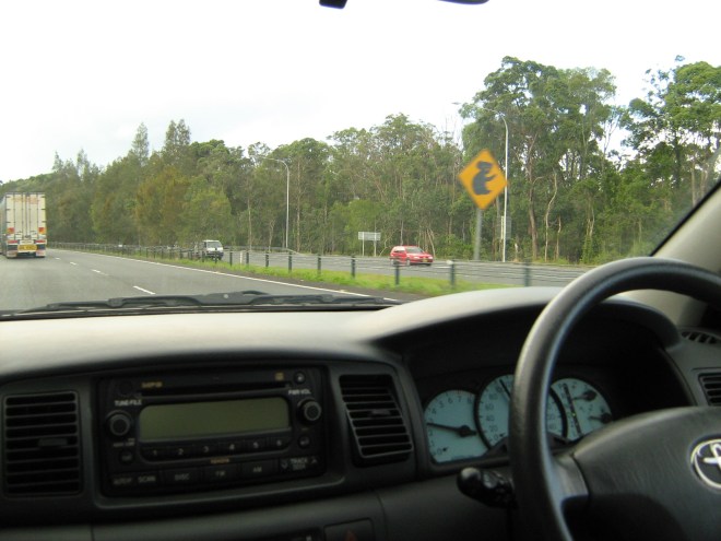 Aussie koala sign