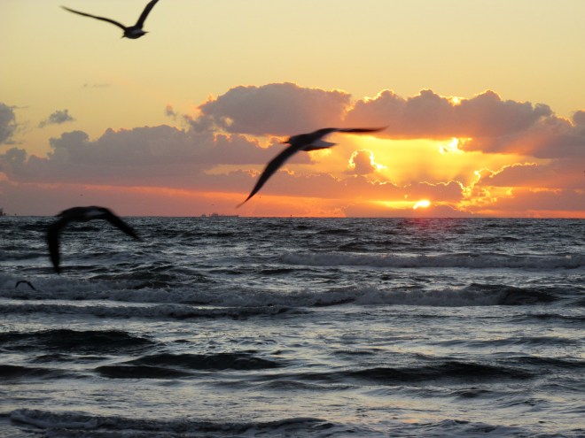 port-aransas-oct-2015-img_0308