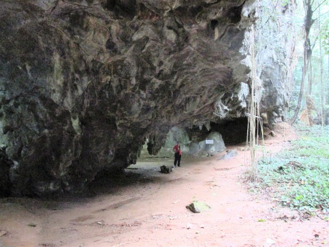 swallowed-by-the-cave